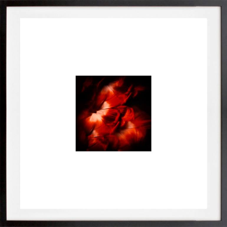 Original Abstract Floral Photography by Veneta Karamfilova