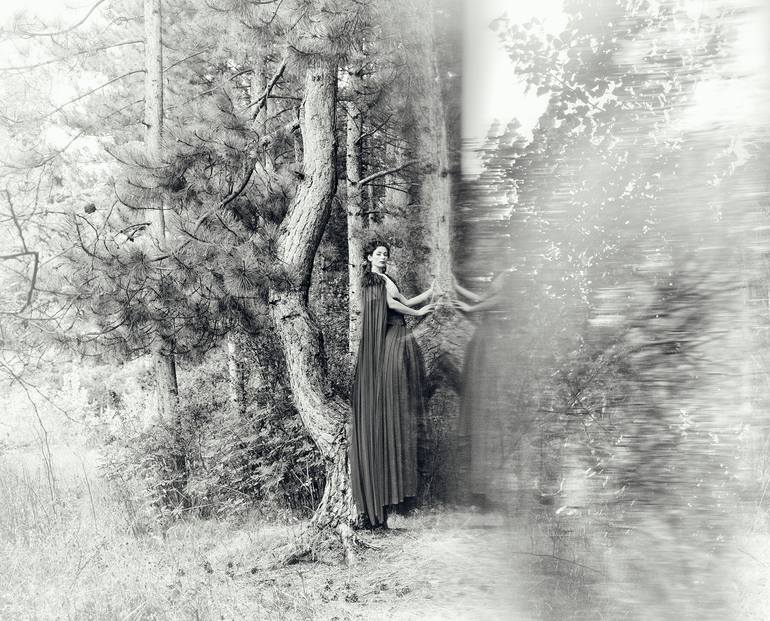 Original Figurative Nature Photography by Veneta Karamfilova
