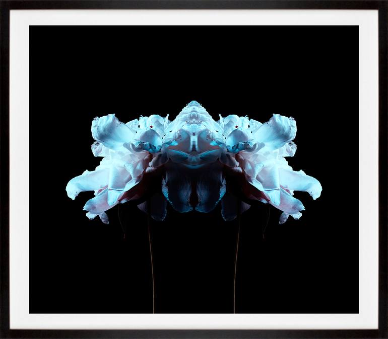 Original Abstract Floral Photography by Veneta Karamfilova