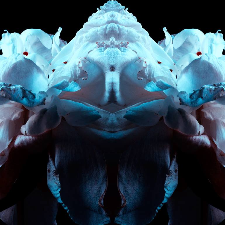 Original Abstract Floral Photography by Veneta Karamfilova