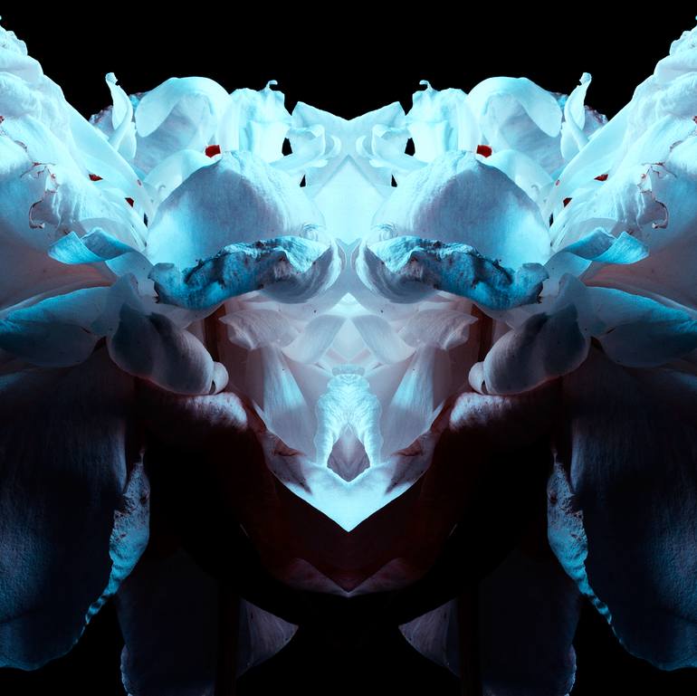 Original Abstract Nature Photography by Veneta Karamfilova