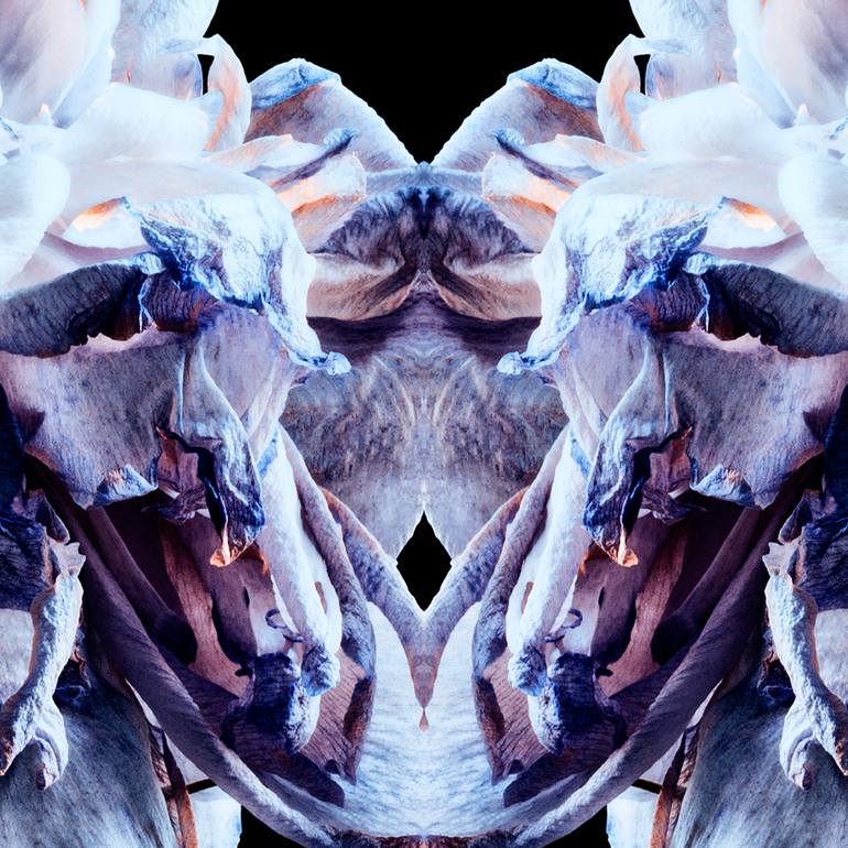 Original Abstract Floral Photography by Veneta Karamfilova