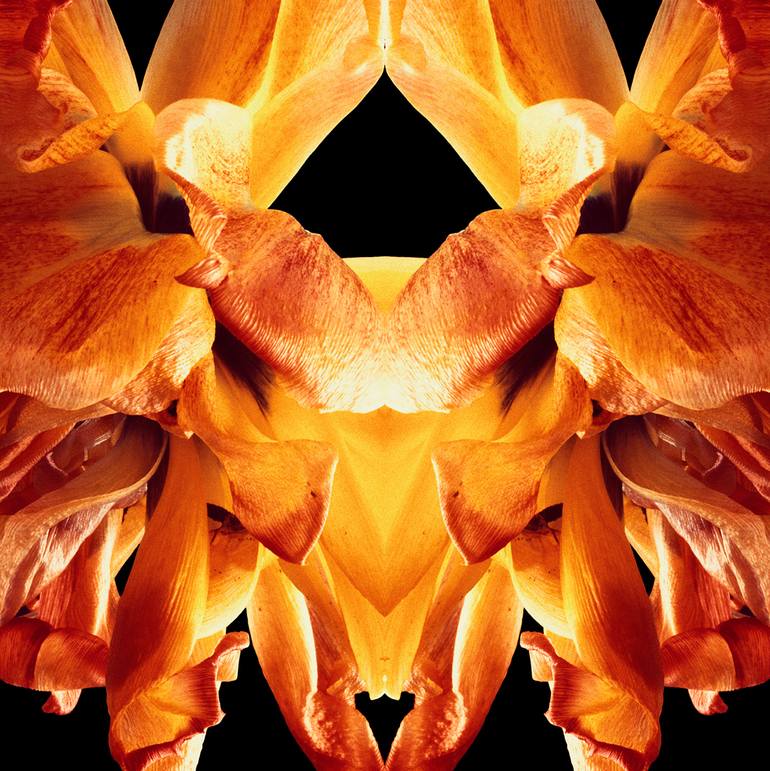 Original Abstract Nature Photography by Veneta Karamfilova