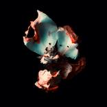 Collection Floral