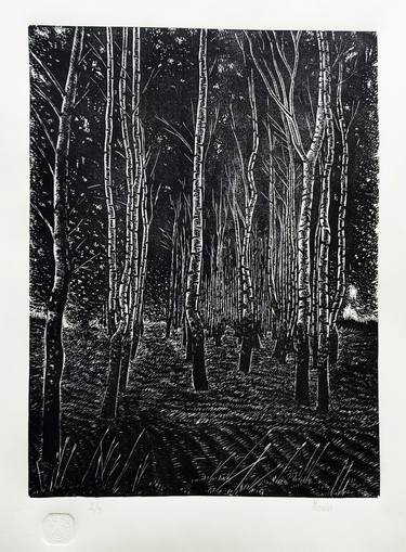 Original Fine Art Nature Printmaking by Sergei Monin