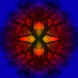 Collection Digital Photoart