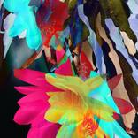 Collection Digital Photoart