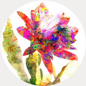 Collection Digital Photoart