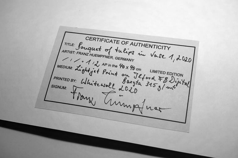 Original Expressionism Still Life Photography by Franz Huempfner