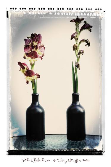 Print of Figurative Still Life Photography by Franz Huempfner