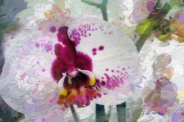 Digital Orchid 03 (2020) - Limited Edition of 10 thumb