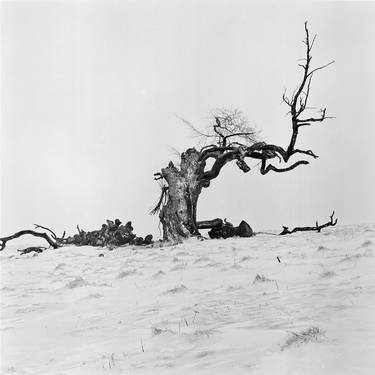 Print of Figurative Landscape Photography by Franz Huempfner