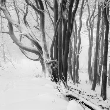 Original Figurative Landscape Photography by Franz Huempfner