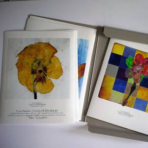 Collection Portfolios