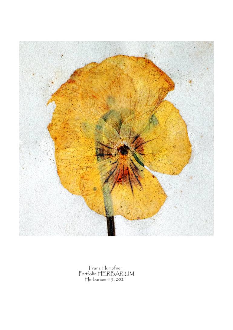Original Illustration Abstract Photography by Franz Huempfner