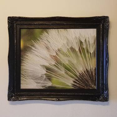 Dandelion Clock - Limited Edition 1 of 1 thumb