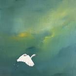 Swan by Dan Nelson