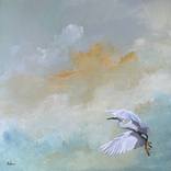 Morning Flight by Dan Nelson
