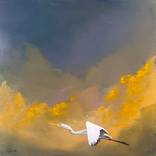Egret 2 by Dan Nelson