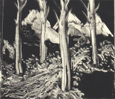 Print of Landscape Printmaking by Matthieu SCHMIDLIN