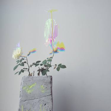 Print of Conceptual Floral Mixed Media by Matthieu SCHMIDLIN