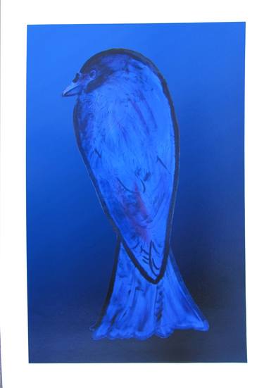 'Drongo: African Bird Print' - Limited Edition of 5 thumb