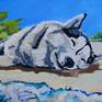 An friend of mine, a husky puppy, told me once she went to Bahamas. There at the beautiful seaside she surfed, swam and had tasty cocktails and after that went for a nap at thebeach on a warm and clear white sand, listening to emerald green sea waves.. Or maybe she only dreamt about it?.. Oh, Vanilla, oh cheeky husky!