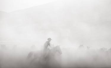 Original Minimalism Animal Photography by Drew Doggett