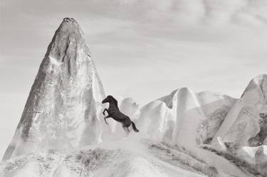 Original Minimalism Animal Photography by Drew Doggett