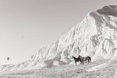 Original Minimalism Animal Photography by Drew Doggett