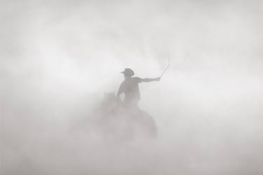 Original Minimalism Animal Photography by Drew Doggett