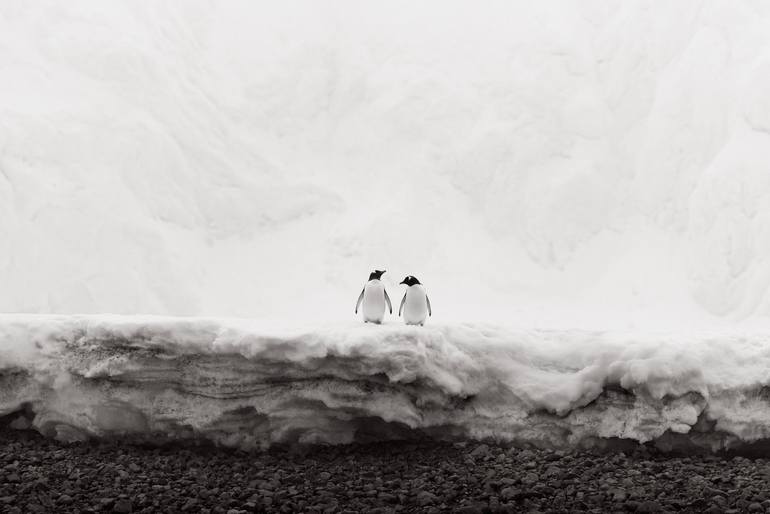 Original  Photography by drew doggett