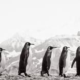 Collection Black & White Photography