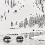 Winter's Crossing by Drew Doggett