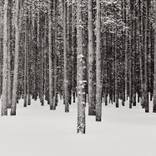 Architecture of Winter by Drew Doggett