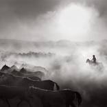 A Fabled Journey by Drew Doggett
