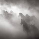 Untethered by Drew Doggett