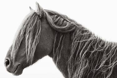 Original Fine Art Horse Photography by Drew Doggett