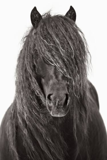 Original Fine Art Horse Photography by Drew Doggett