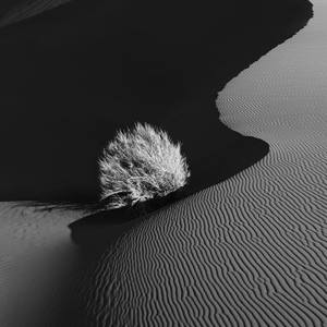 Collection January Favorites