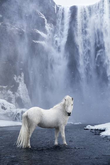 Original Horse Photography by Drew Doggett