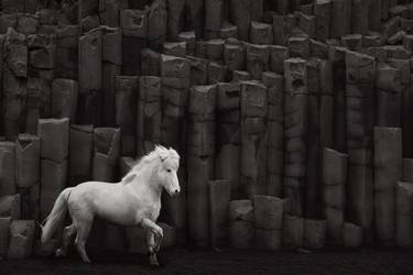 Original Fine Art Horse Photography by Drew Doggett