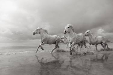 Original Fine Art Animal Photography by Drew Doggett