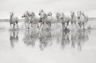 Spirit of the Camargue - Limited Edition of 125 image