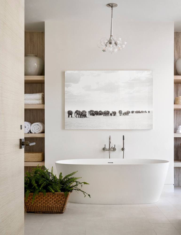 Original Other Animal Photography by Drew Doggett