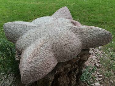 Original Nature Sculpture by Harm Rutten