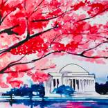 Spring in DC by Lana Moes-Smith