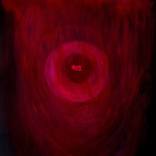 Collection International Women's Day 2022