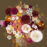 Floral Studies by Czar Catstick