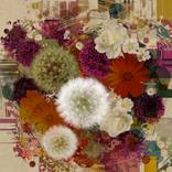 Flower Power by Czar Catstick